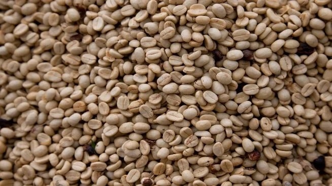 دانه های قهوه با درجه های رست مختلف از روشن تا تیره