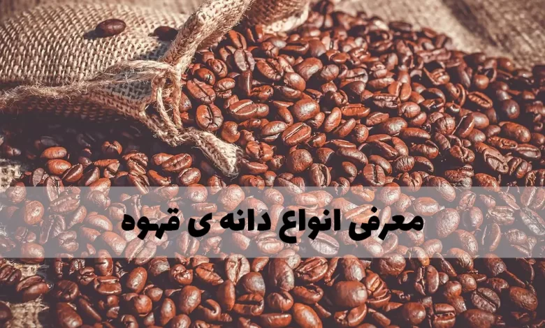 معرفی و آشنایی با انواع دانه قهوه
