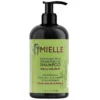 شامپو ارگانیک تقویت کننده مو با رزماری و نعناع میله 355 میل Mielle Organics Rosemary Mint Strengthening Shampoo 3 خرید شامپو ارگانیک تقویت کننده مو با رزماری و نعناع میله 355 میل Mielle Organics Rosemary Mint Strengthening Shampoo