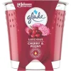 شمع معطر گلید رایحه گیلاس و گل صد تومانی 192 گرم glade LUSCIOUS CHERRY & PEONY 3 قیمت و خرید:شمع معطر گلید رایحه گیلاس و گل صد تومانی 192 گرم SC johnson glade LUSCIOUS CHERRY & PEONY