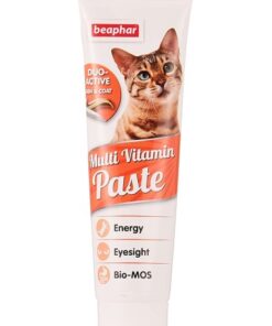 خرید خمیر مولتی ویتامین گربه دیو اکتیو بیفار Beaphar Duo-Active Skin & Coat Multi-Vitamin Paste