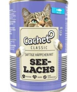 خرید کنسرو گربه با طعم ماهی سالمون کچت Cachet Classic See Lachs Conserve