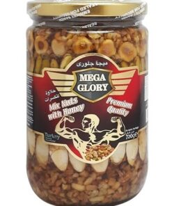 قیمت، خرید فروش معجون هفت مغز و عسل مگا گلوری Mega Glory Mix Nuts With Honey